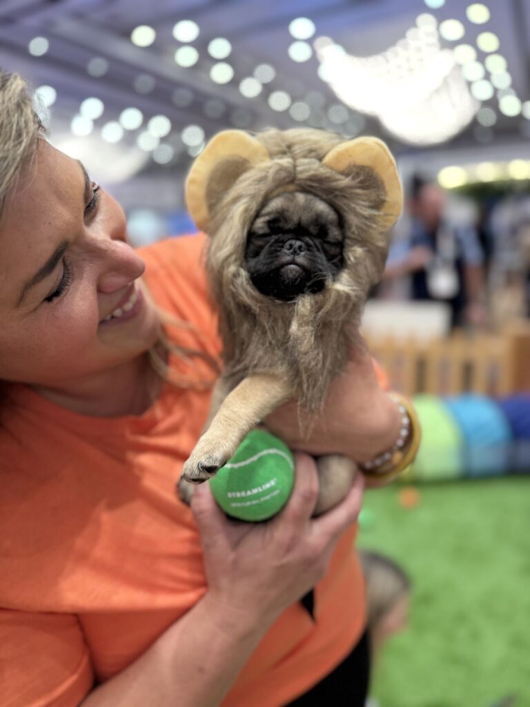 Streamline team member holding a pug in a lion-mane costume and a green Streamline tennis ball at VRMA 2025
